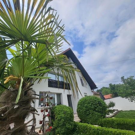 Vila Jovana Vrdnik Exterior photo