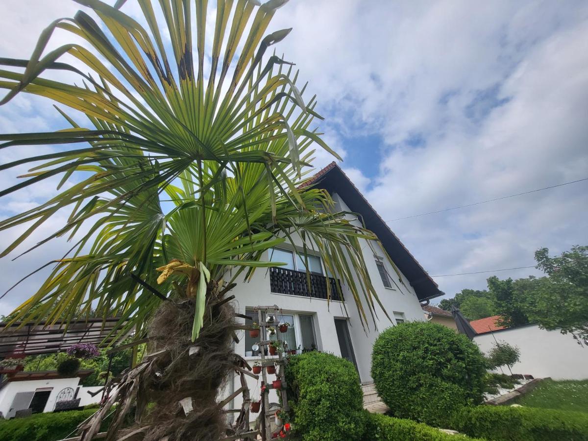 Vila Jovana Vrdnik Exterior photo