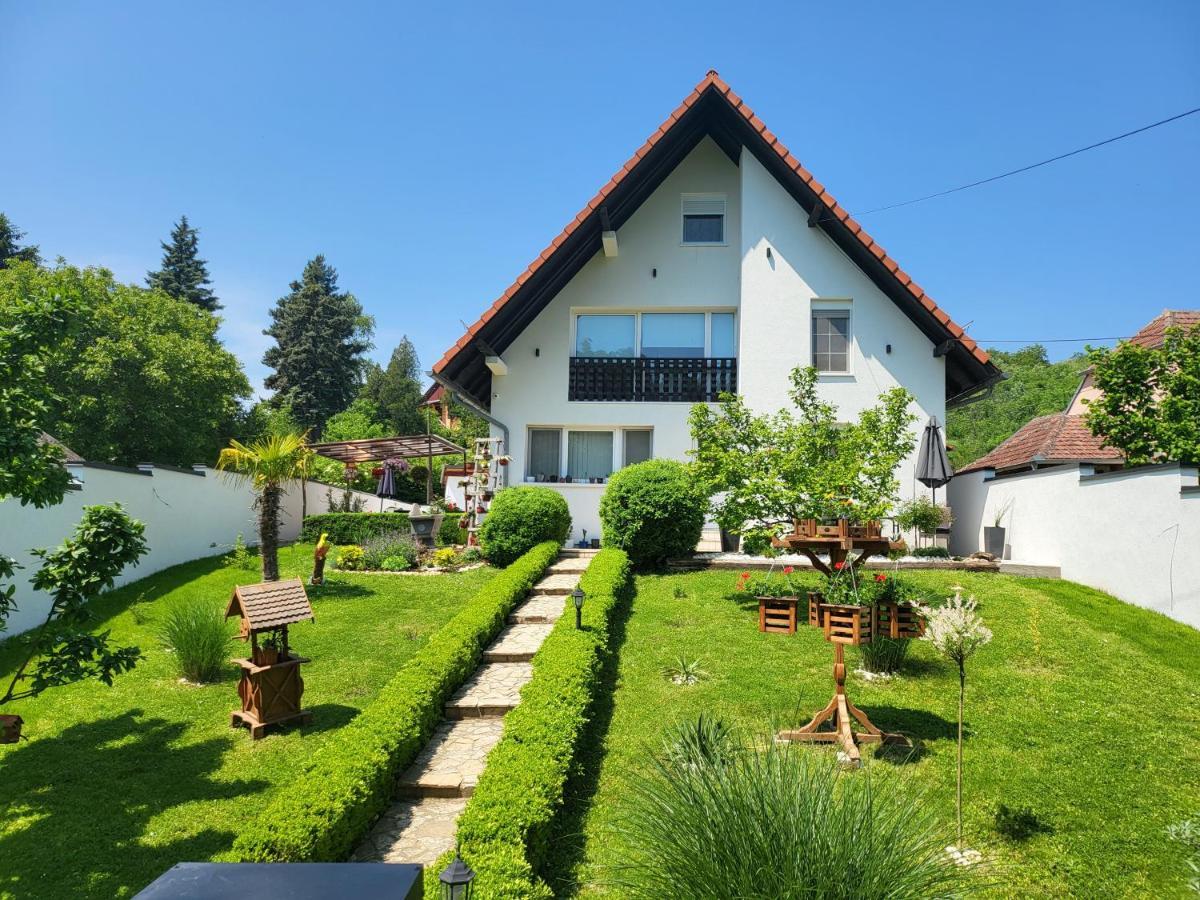 Vila Jovana Vrdnik Exterior photo