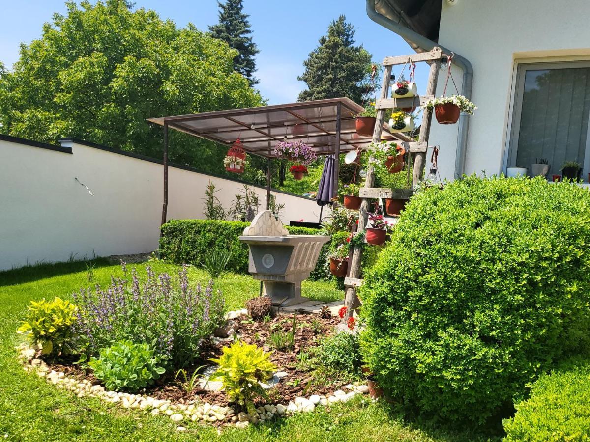 Vila Jovana Vrdnik Exterior photo