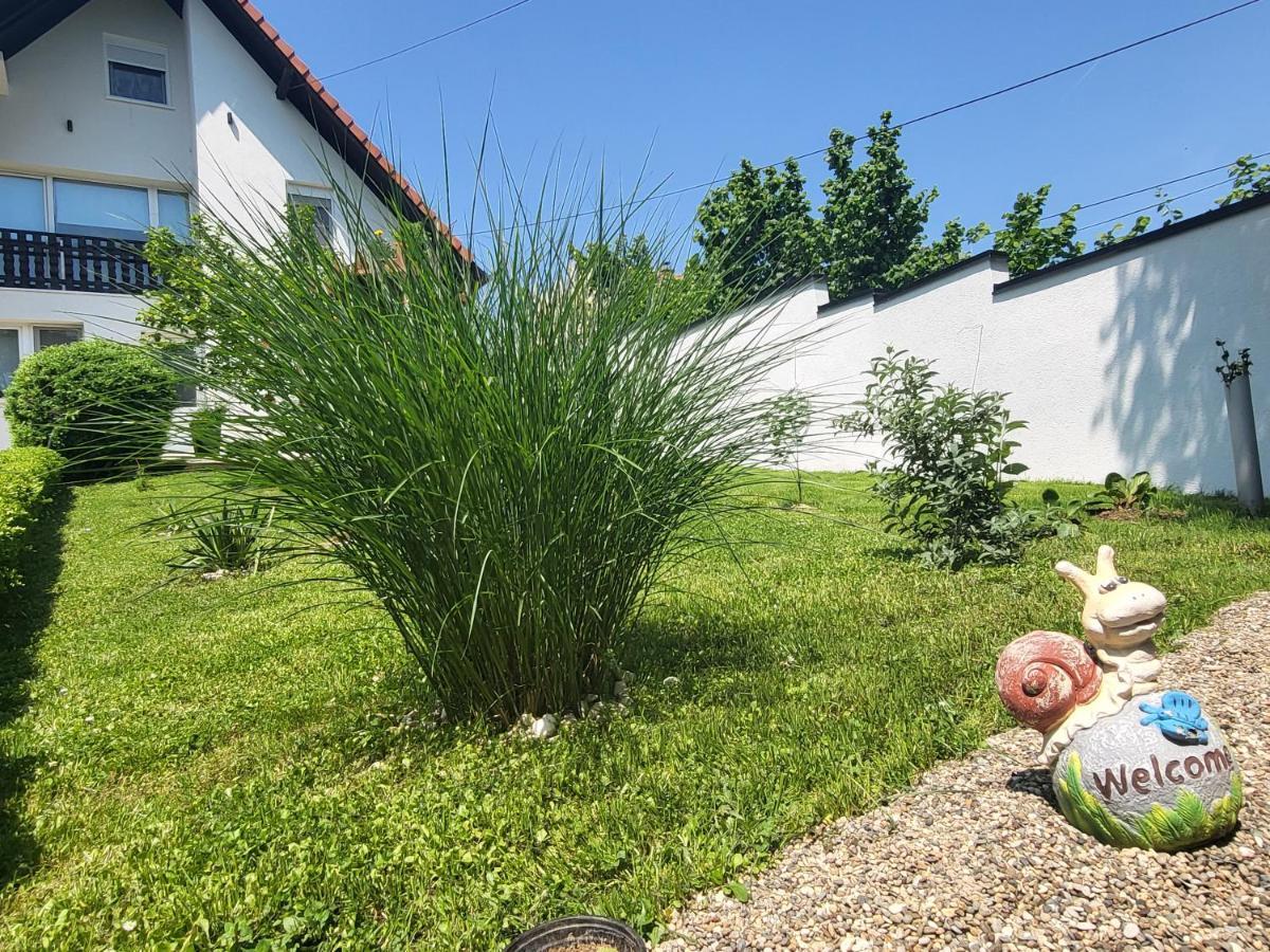 Vila Jovana Vrdnik Exterior photo