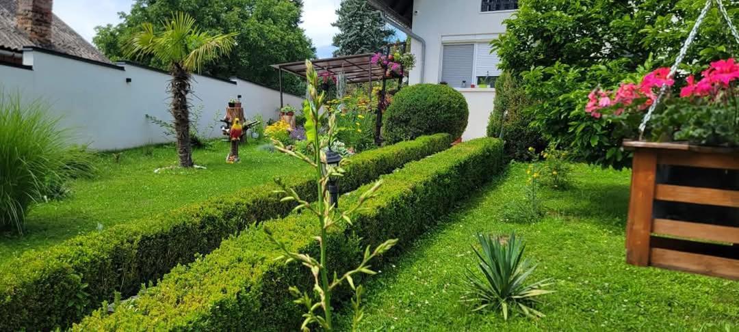 Vila Jovana Vrdnik Exterior photo